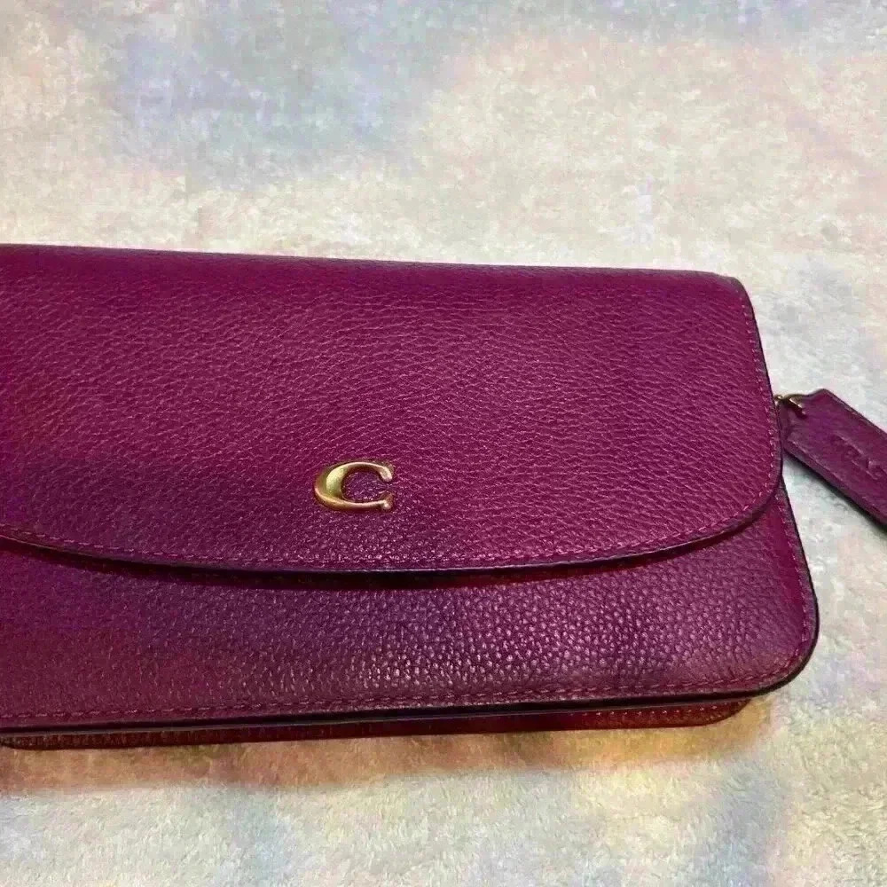 Coach Pebble Leather Hayden Crossbody with Removable Strap NWOT